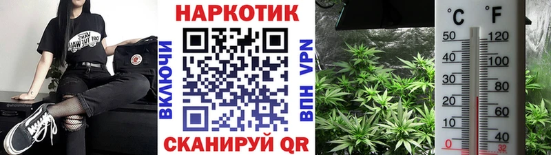 Виды наркотиков купить Лениногорск A PVP  МЕФ  КОКАИН  ГАШ  Амфетамин  МАРИХУАНА 