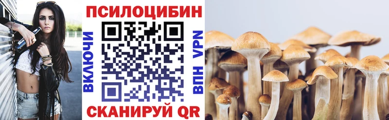 Галлюциногенные грибы прущие грибы  Лениногорск 